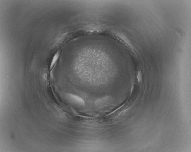 X0000115331396200911231402