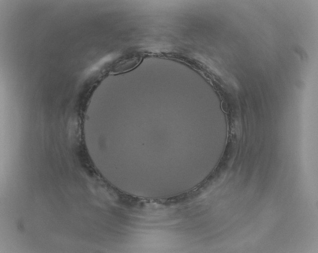 X0000115331398200911231402