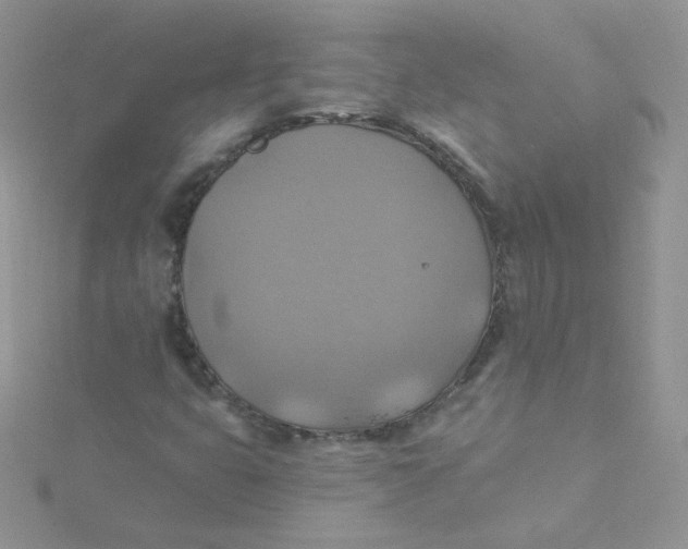 X0000115331399200911231402