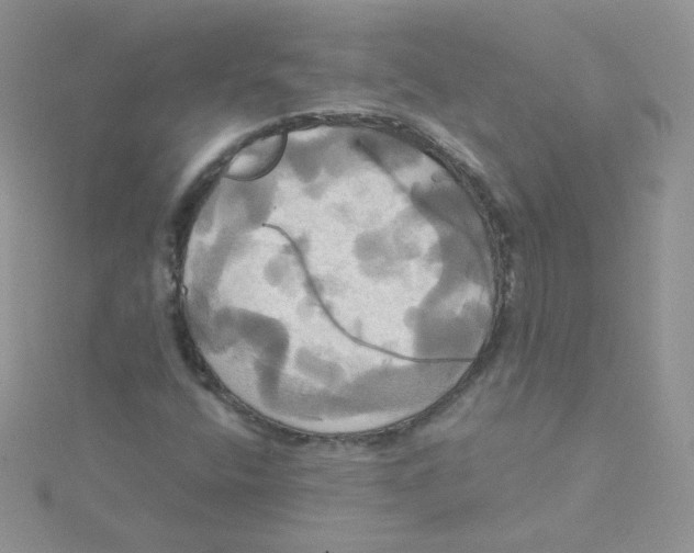 X0000115331400200911231402