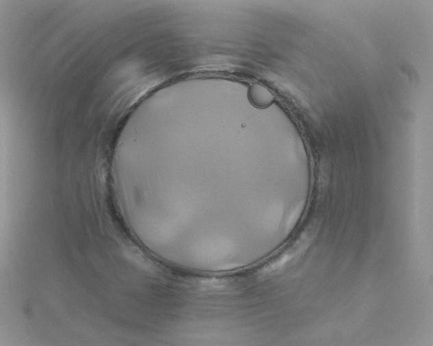 X0000115331401200911231402