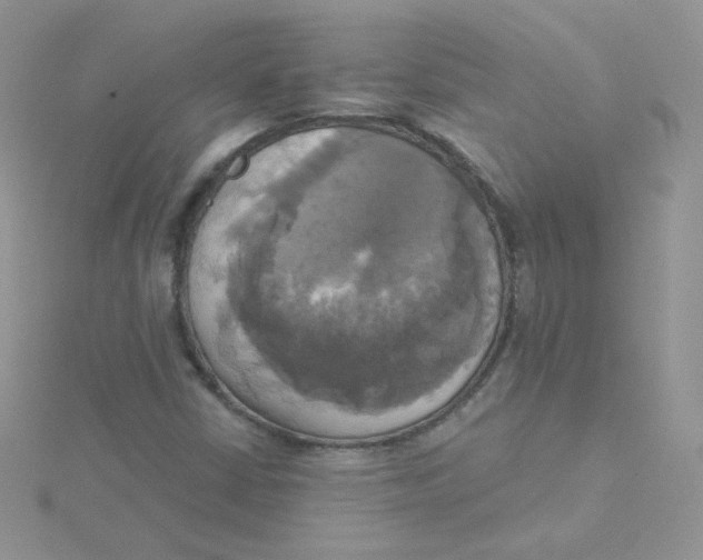 X0000115331402200911231402