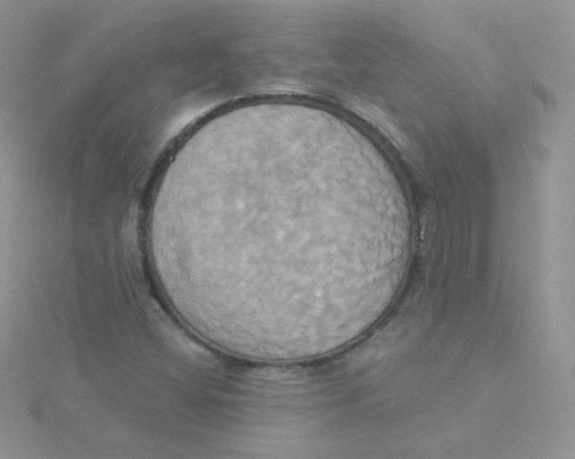 X0000115331404200911231402