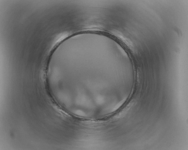 X0000115331405200911231402