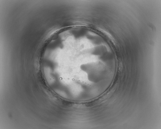 X0000115331407200911231402