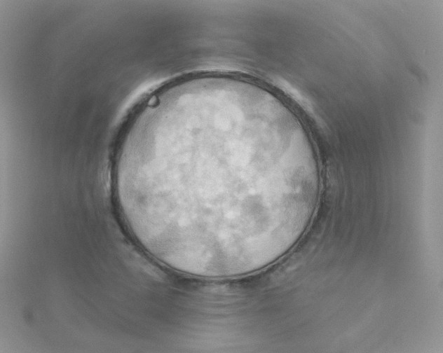 X0000115331408200911231402