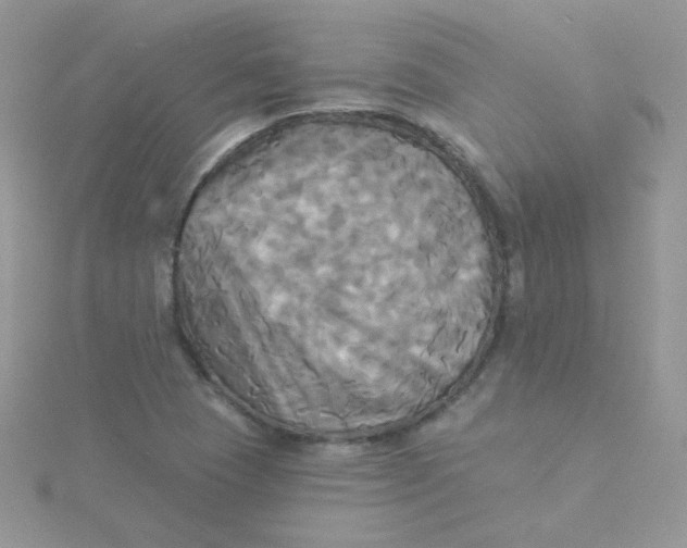 X0000115331409200911231402