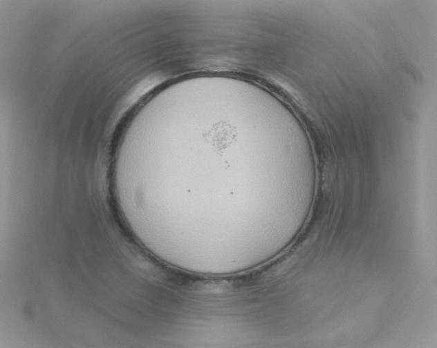 X0000115331410200911231402