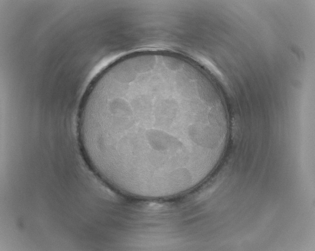 X0000115331412200911231402