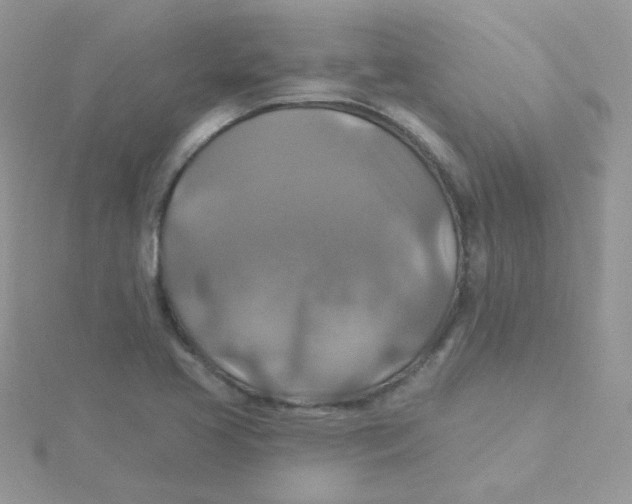 X0000115331413200911231402