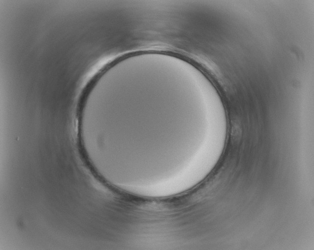 X0000115331414200911231402