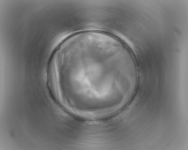 X0000115331415200911231402