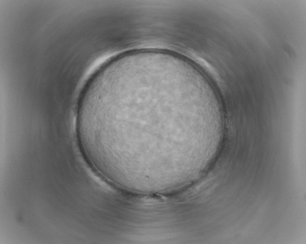 X0000115331416200911231402