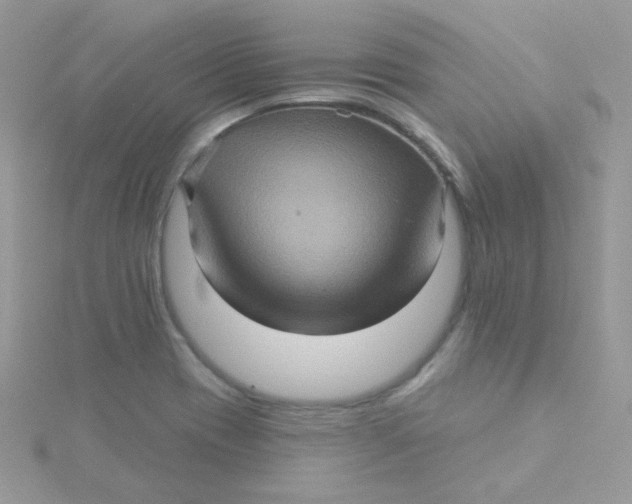 X0000115331417200911231402