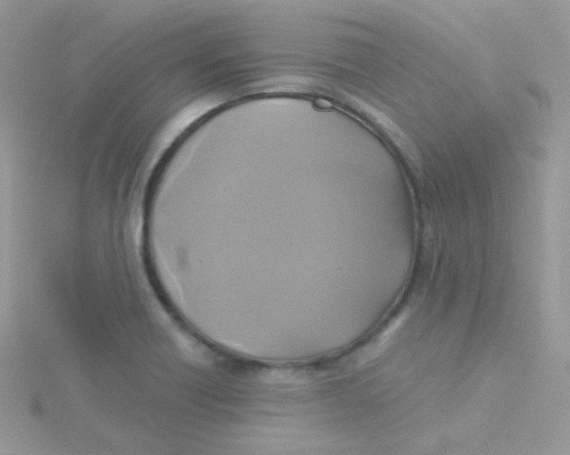 X0000115331418200911231402