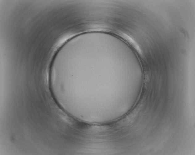 X0000115331419200911231402