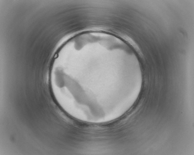 X0000115331420200911231402