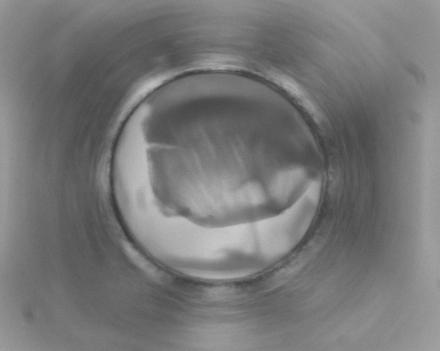 X0000115331421200911231402