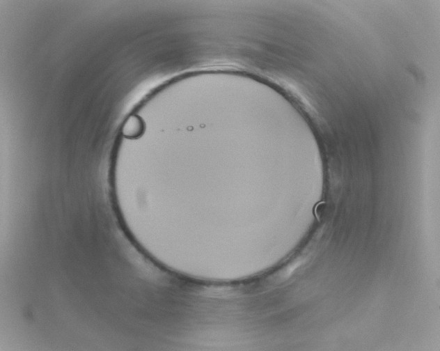 X0000115331422200911231402