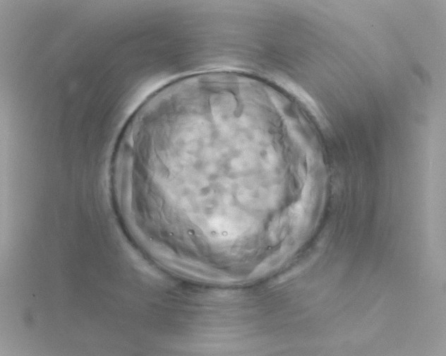 X0000115331423200911231402