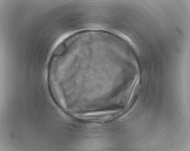 X0000115331424200911231402