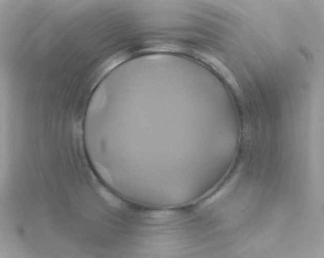 X0000115331425200911231402