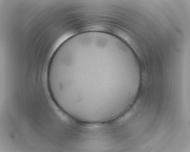 X0000115331426200911231402