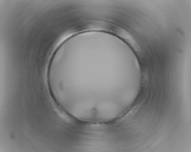 X0000115331427200911231402