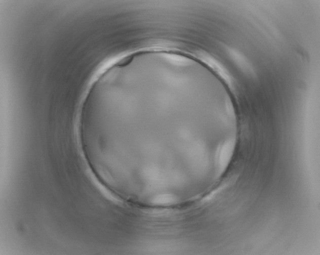 X0000115331429200911231402