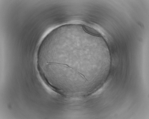 X0000115331430200911231402