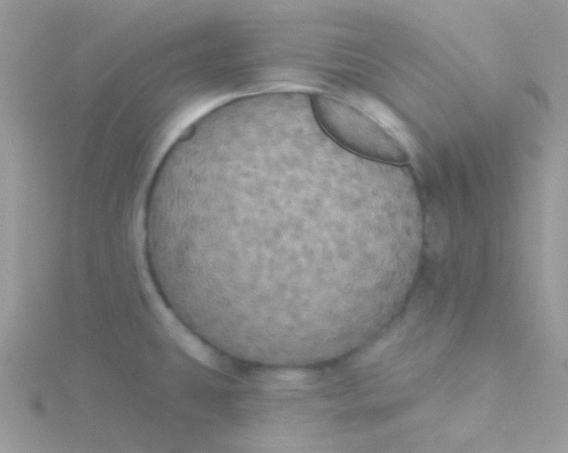 X0000115331431200911231402