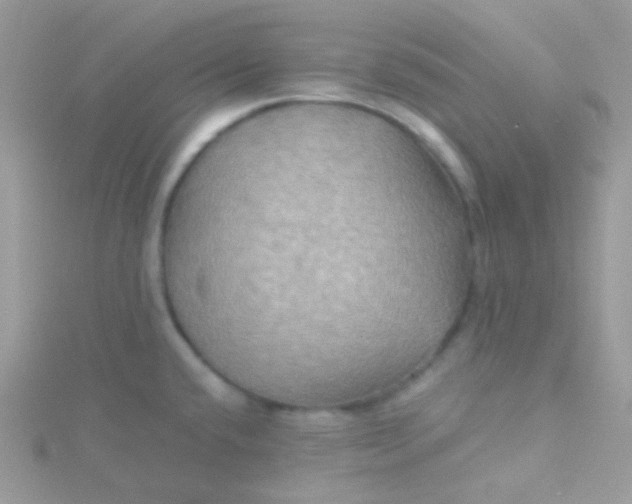 X0000115331432200911231402