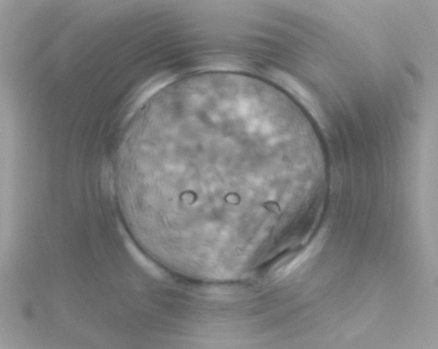 X0000115331433200911231402