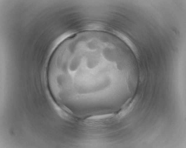 X0000115331434200911231402