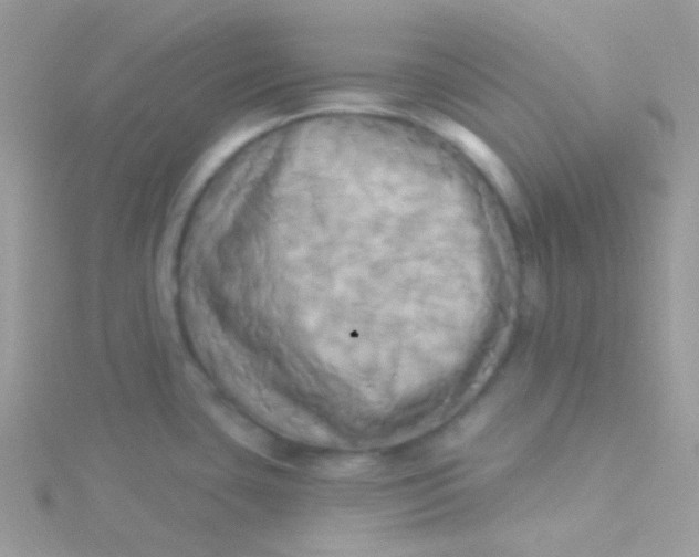 X0000115331435200911231402