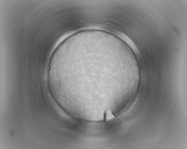 X0000115331436200911231402