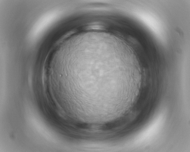 X0000115331438200911231402