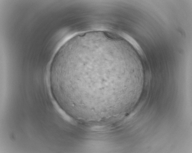 X0000115331439200911231402