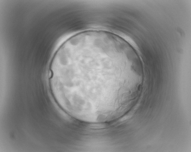 X0000115331440200911231402