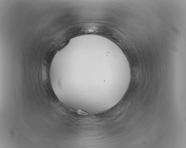 X0000115331442200911231402