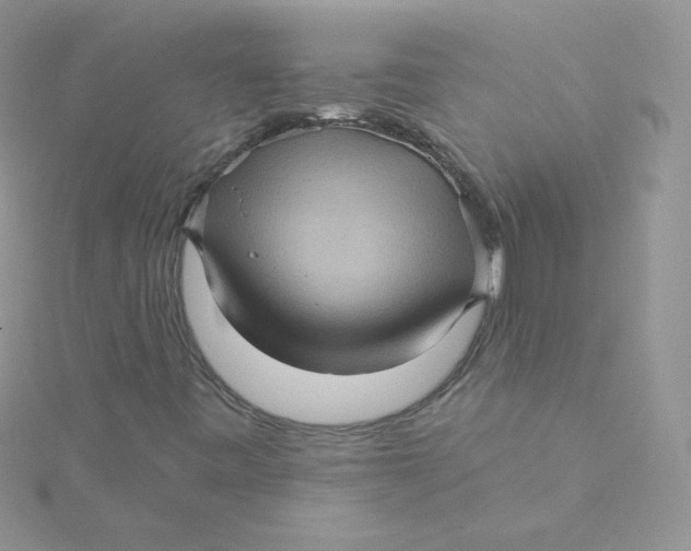 X0000115331443200911231402