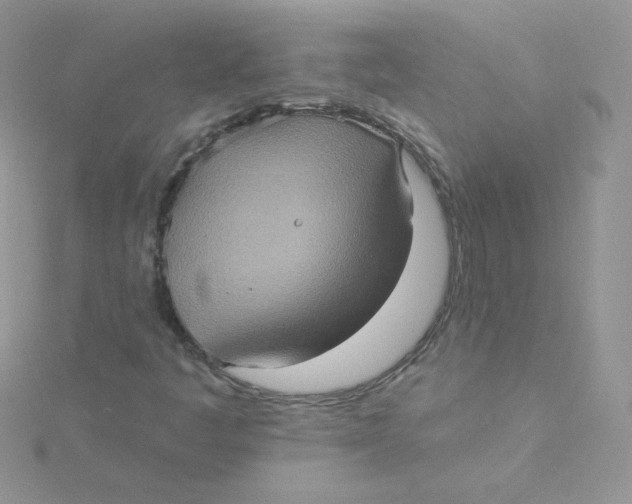 X0000115331445200911231402