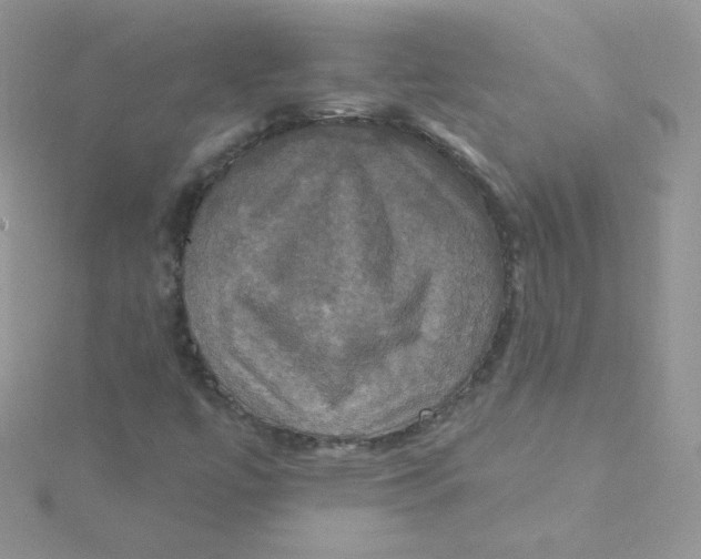 X0000115331447200911231402