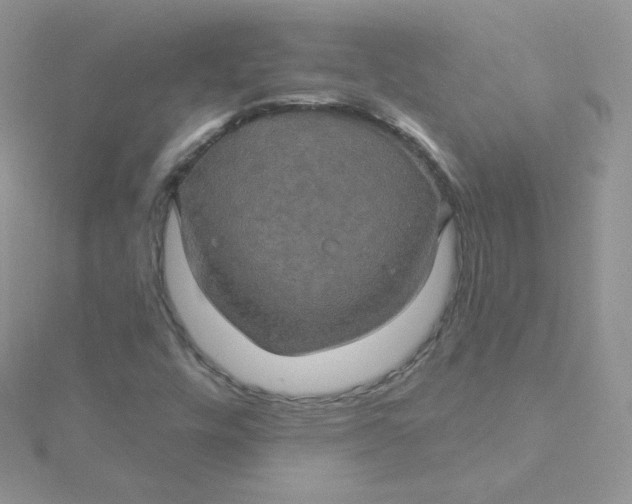 X0000115331448200911231402