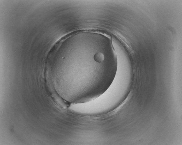 X0000115331449200911231402