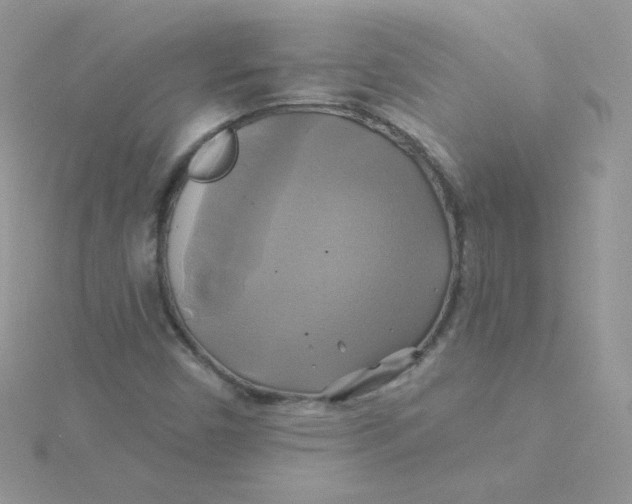 X0000115331450200911231402