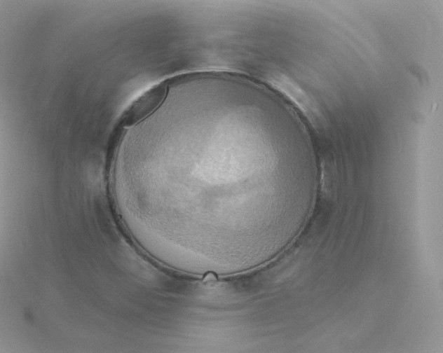 X0000115331452200911231402