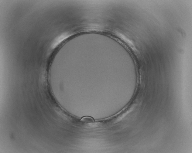 X0000115331453200911231402