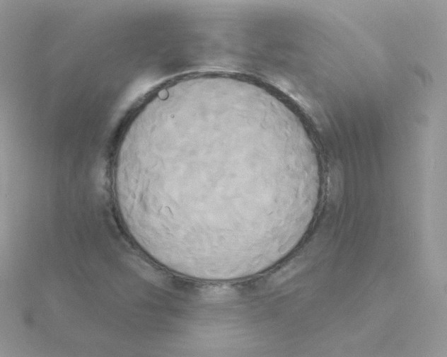 X0000115331454200911231402