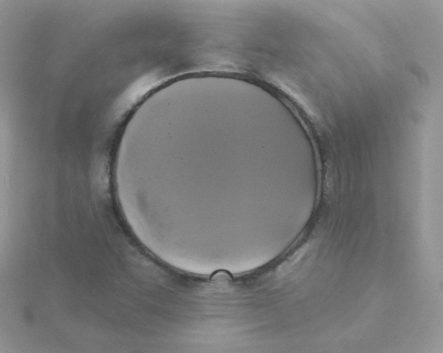 X0000115331455200911231402